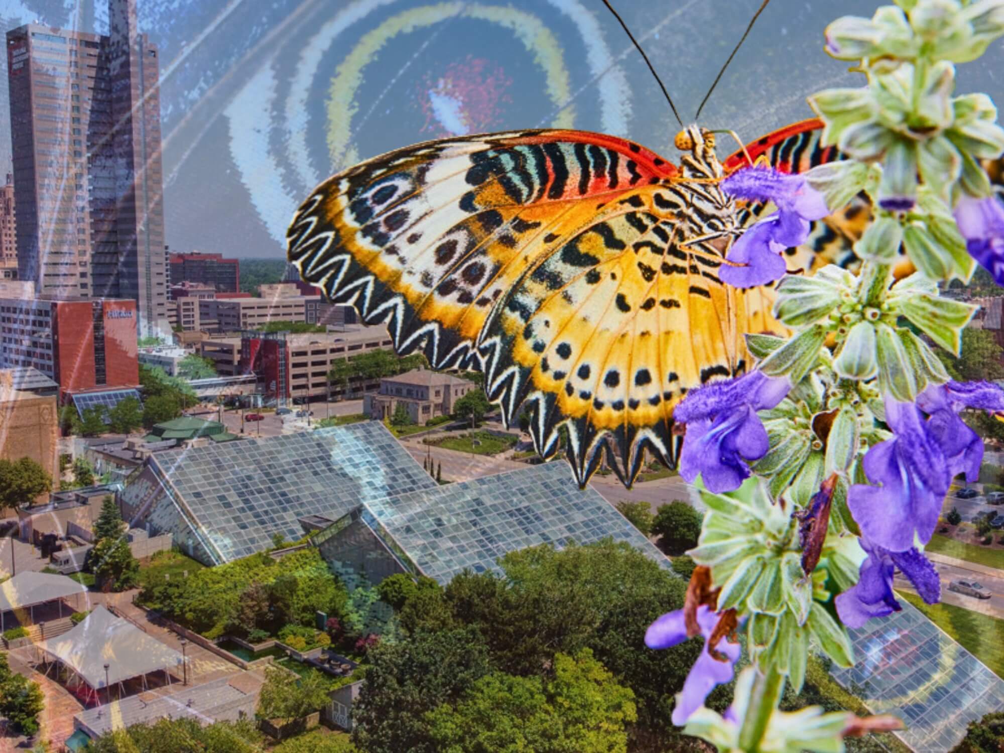 Fort Wayne Botanical Conservatory Butterfly Exhibit