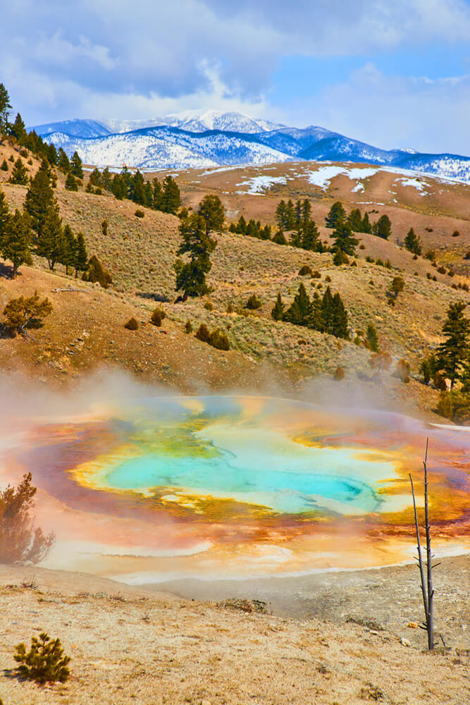 2022-04 WY Yellowstone Mammoth Hot Springs 80