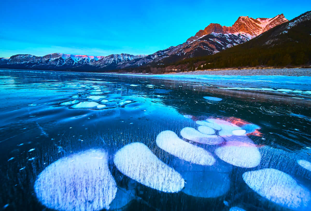 Ice Bubbles!