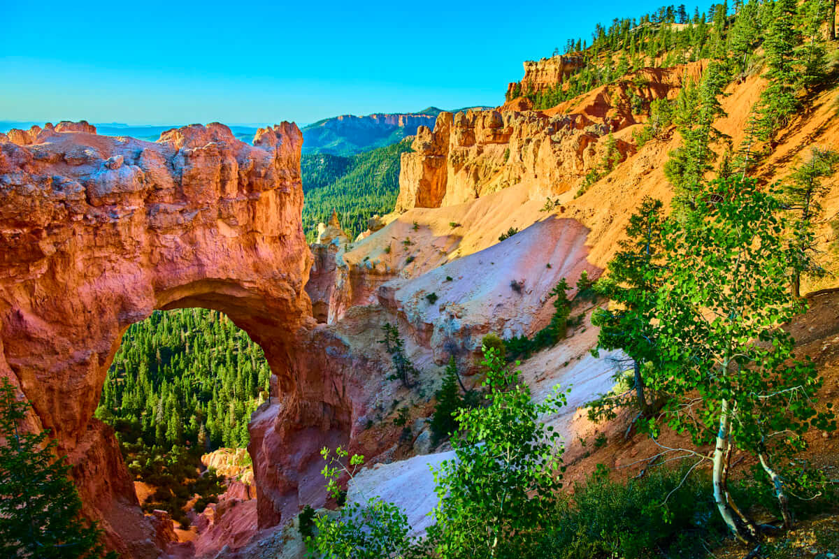 Bryce Natural Bridge