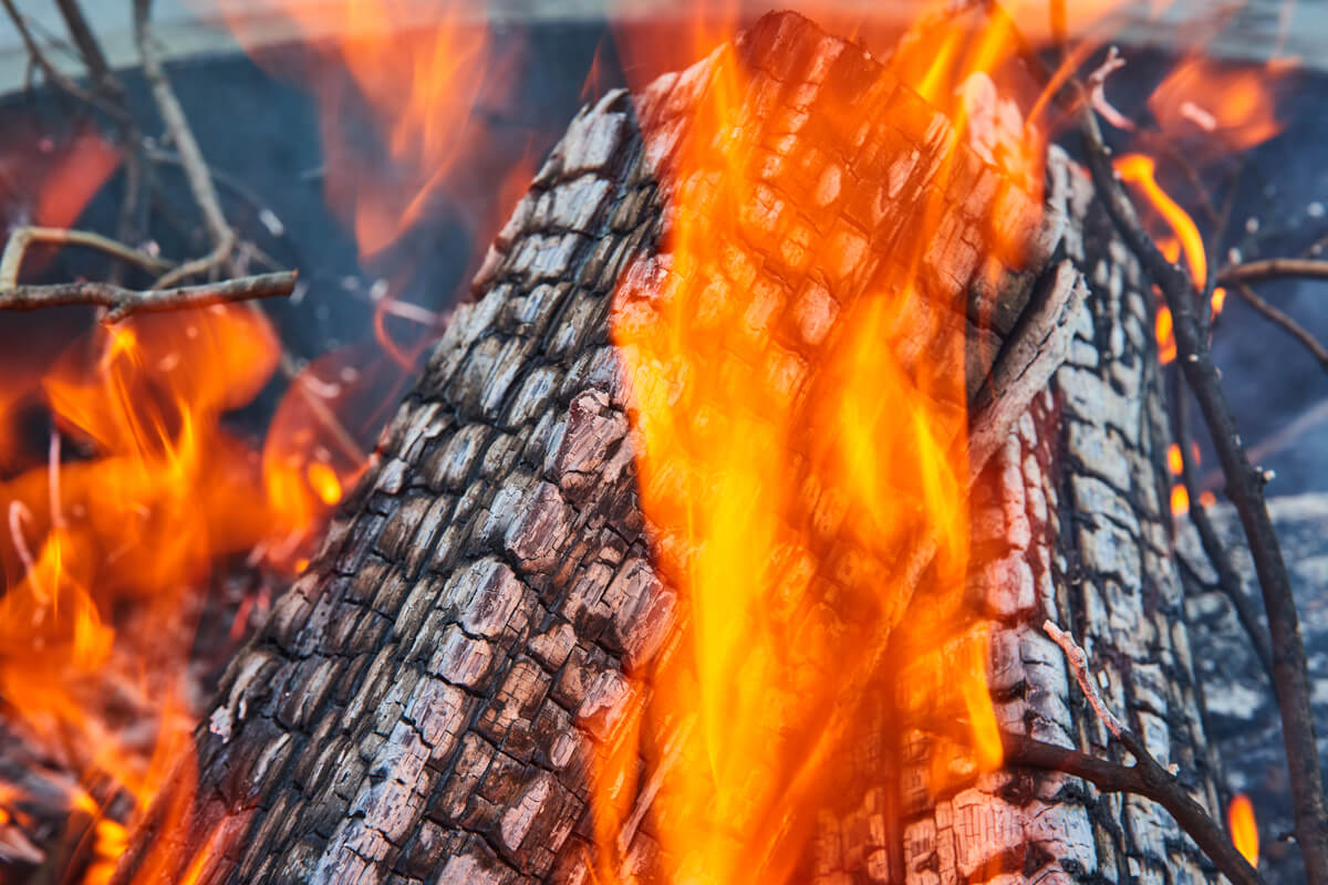 Detail of burning logs
