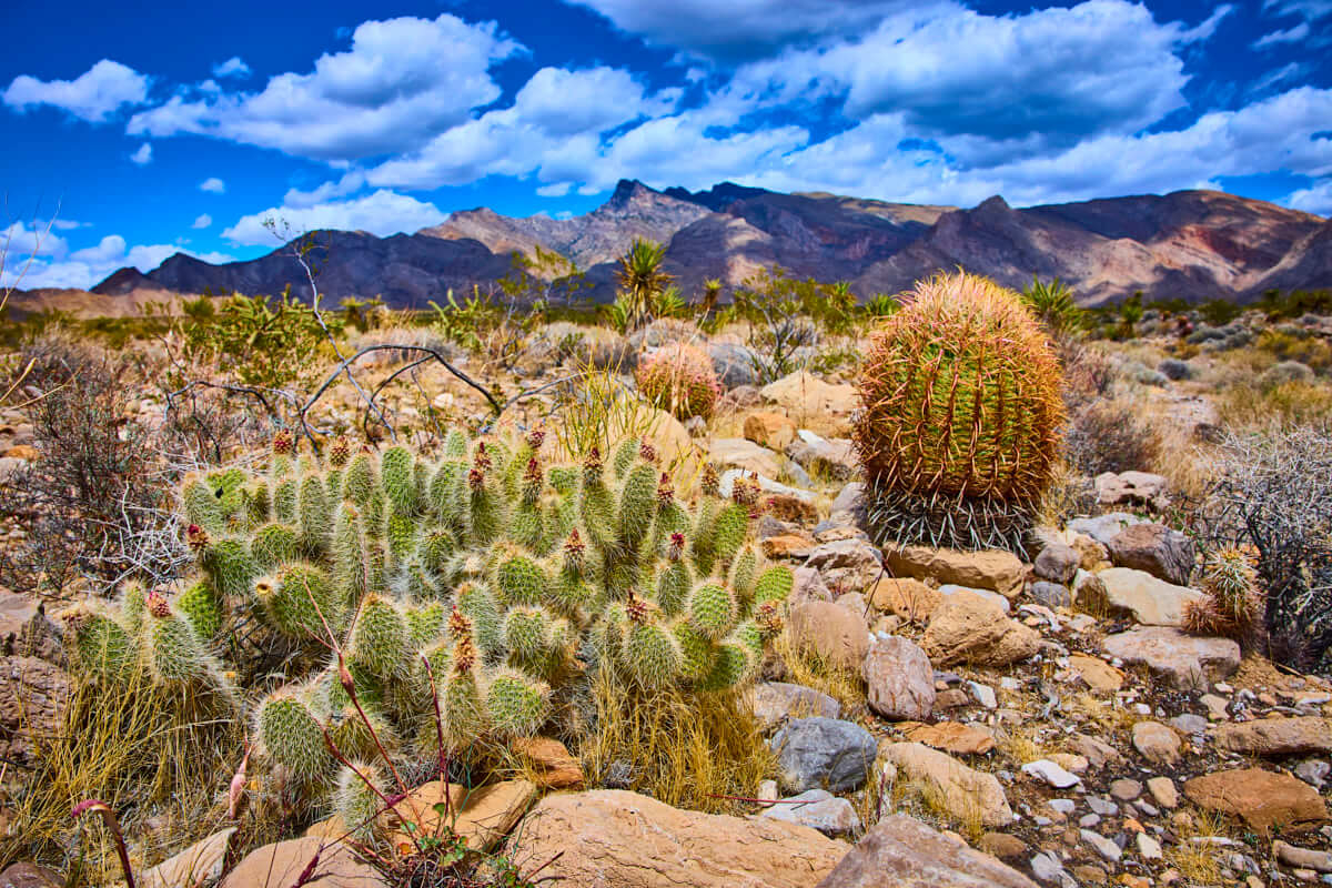 The Journey to Whitney Pocket