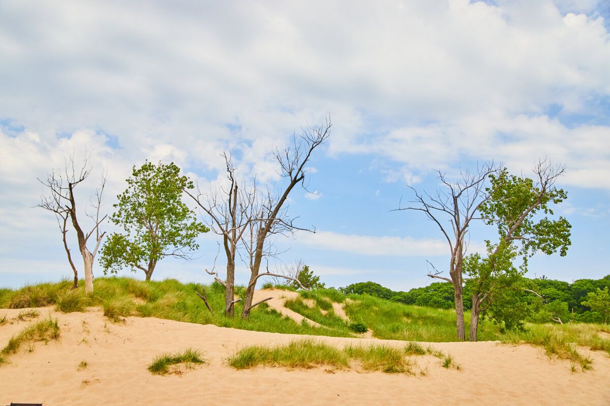 Holland State Park sand dunes