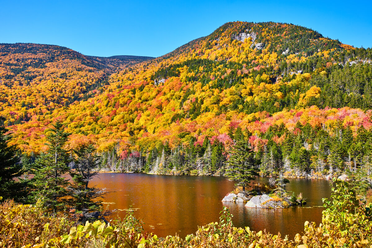 New Hampshire Beaver Pond