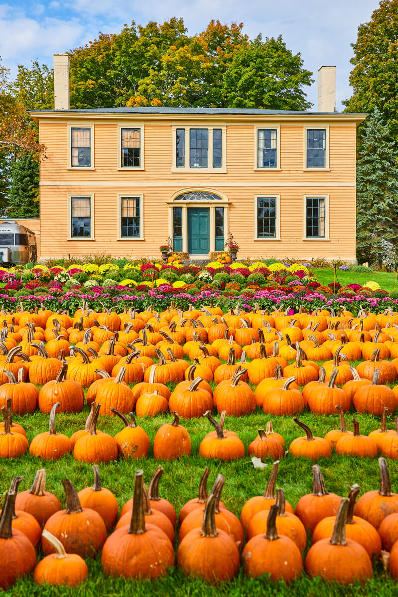 Pumpkins for sale near Old Orchard