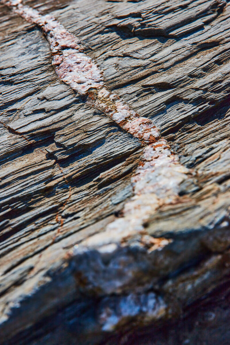 Mineral veins running through rocks are everywhere