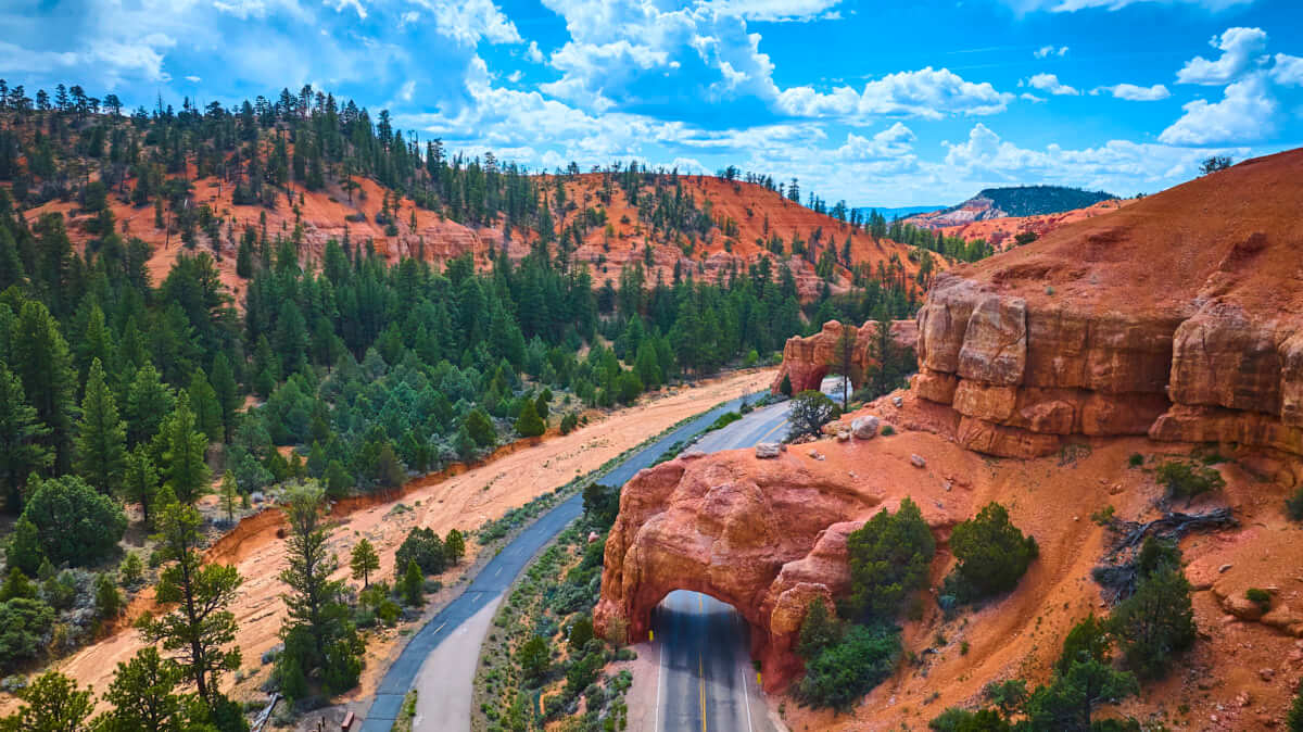 Scenic Drive / Tunnels