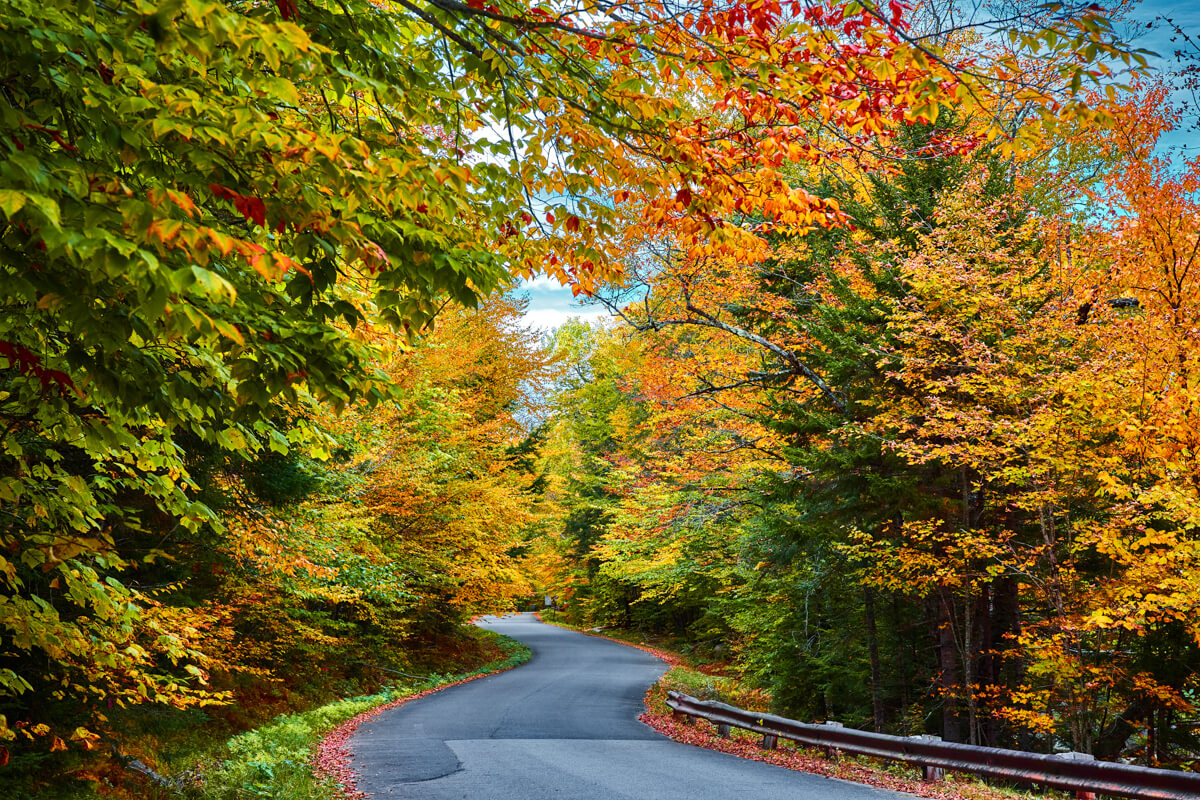 Road at Texas Falls, Vermont