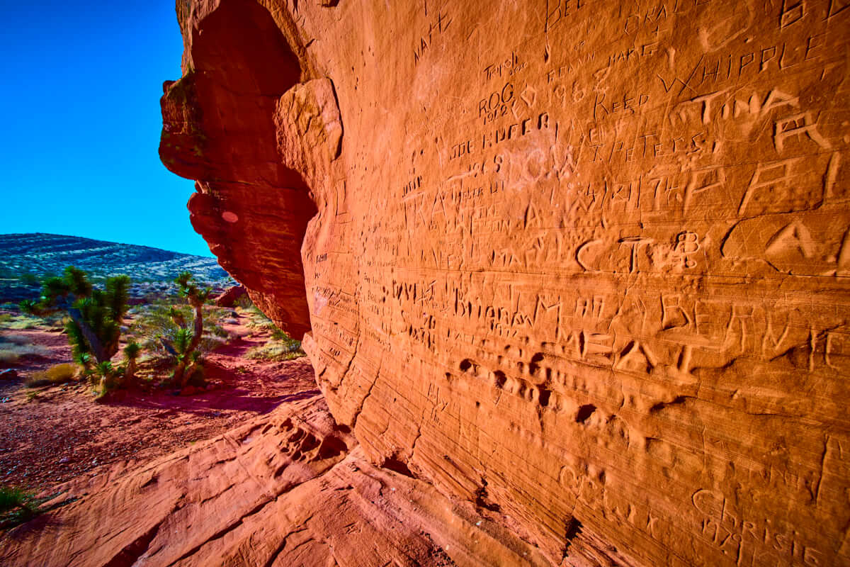 Whitney Pocket Carvings