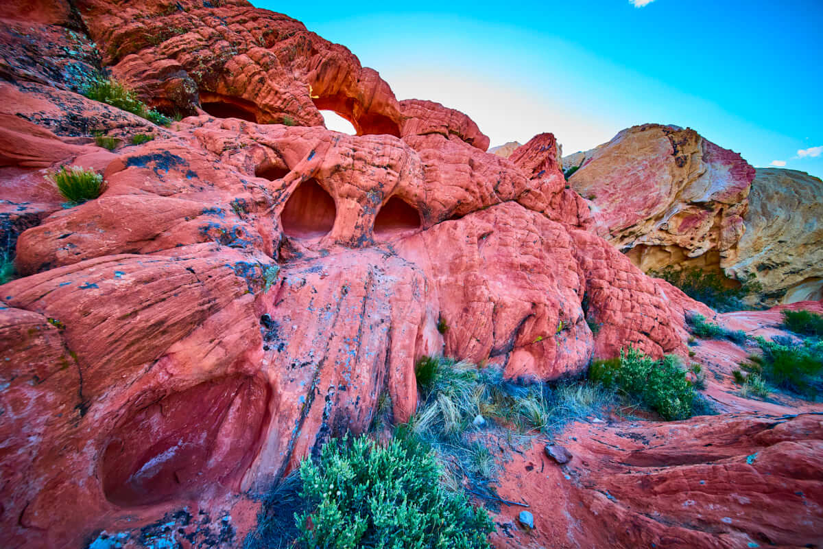 Path To Pocket Arches