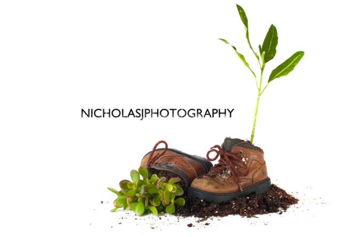 Shoe Photography with Plants